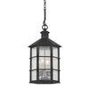 Troy Lighting Lake County French Iron 11.5W X 11.5L X 25.75H Pendant