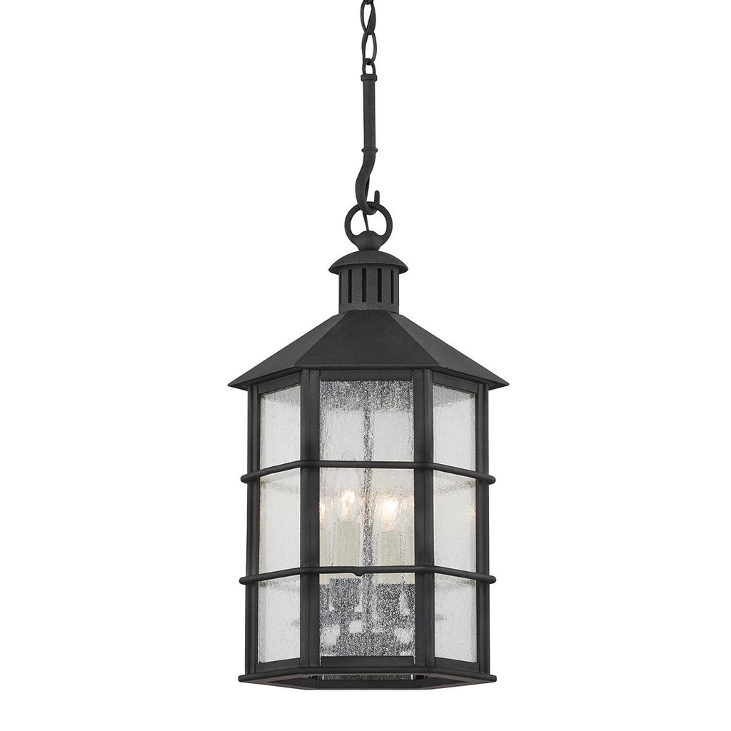 Troy Lighting Lake County FRENCH IRON 11.5W x 11.5L x 25.75H Pendant