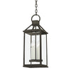 Troy Lighting Sanders French Iron 8.5W X 8.5L X 22.25H Pendant