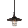 Troy Lighting Allegheny Centennial Rust 13W X 13L X 20.5H Pendant