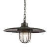 Troy Lighting Acme Aged Pewter 22W X 22L X 13H Pendant