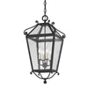 Troy Lighting Santa Barbara County French Iron 13.25W X 13.25L X 27.25H Pendant