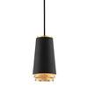 Troy Lighting Fahrenheit Textured Black W-Gold Leaf 8.25W X 8.25L X 15H Pendant