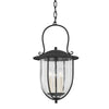 Troy Lighting Monterey County French Iron 12.75W X 12.75L X 22.75H Pendant