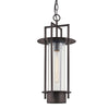 Troy Lighting Carroll Park Textured Bronze 10.5W X 10.5L X 24H Pendant