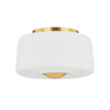 Mitzi Ciela Aged Brass 13.5W X 11L X 8H Flush Mount