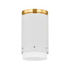 Mitzi Asa Aged Brass/Soft White 4.75W X 32L X 8.25H Flush Mount