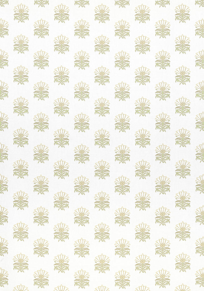 Anna French MILFORD Beige and Green Fabric