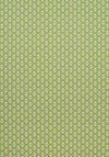 Anna French Julian Green Fabric