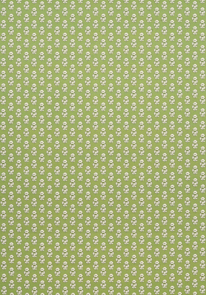 Anna French JULIAN Green Fabric