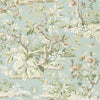 Anna French Elwood Robin'S Egg Fabric