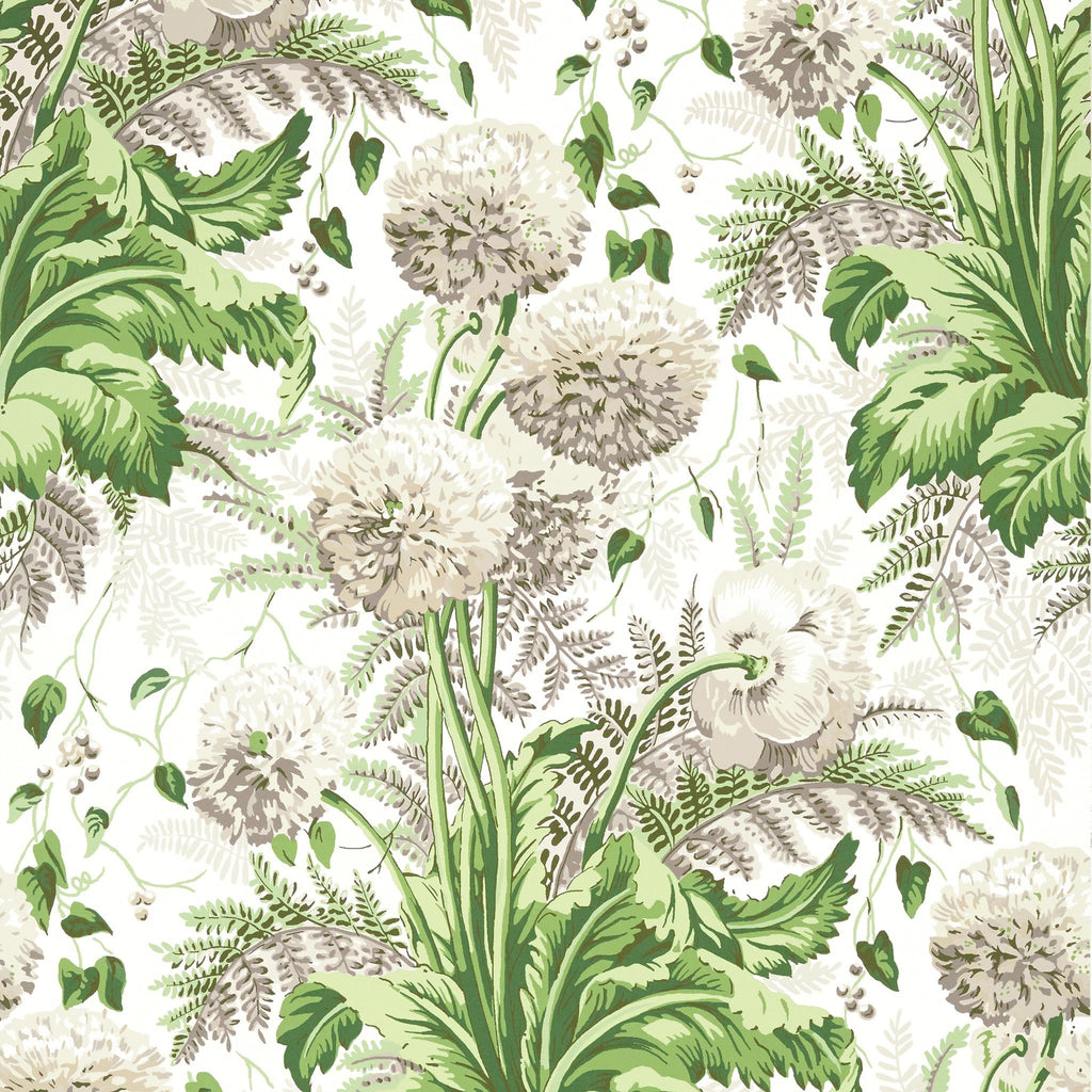 Thibaut DAHLIA Spring on White Wallpaper