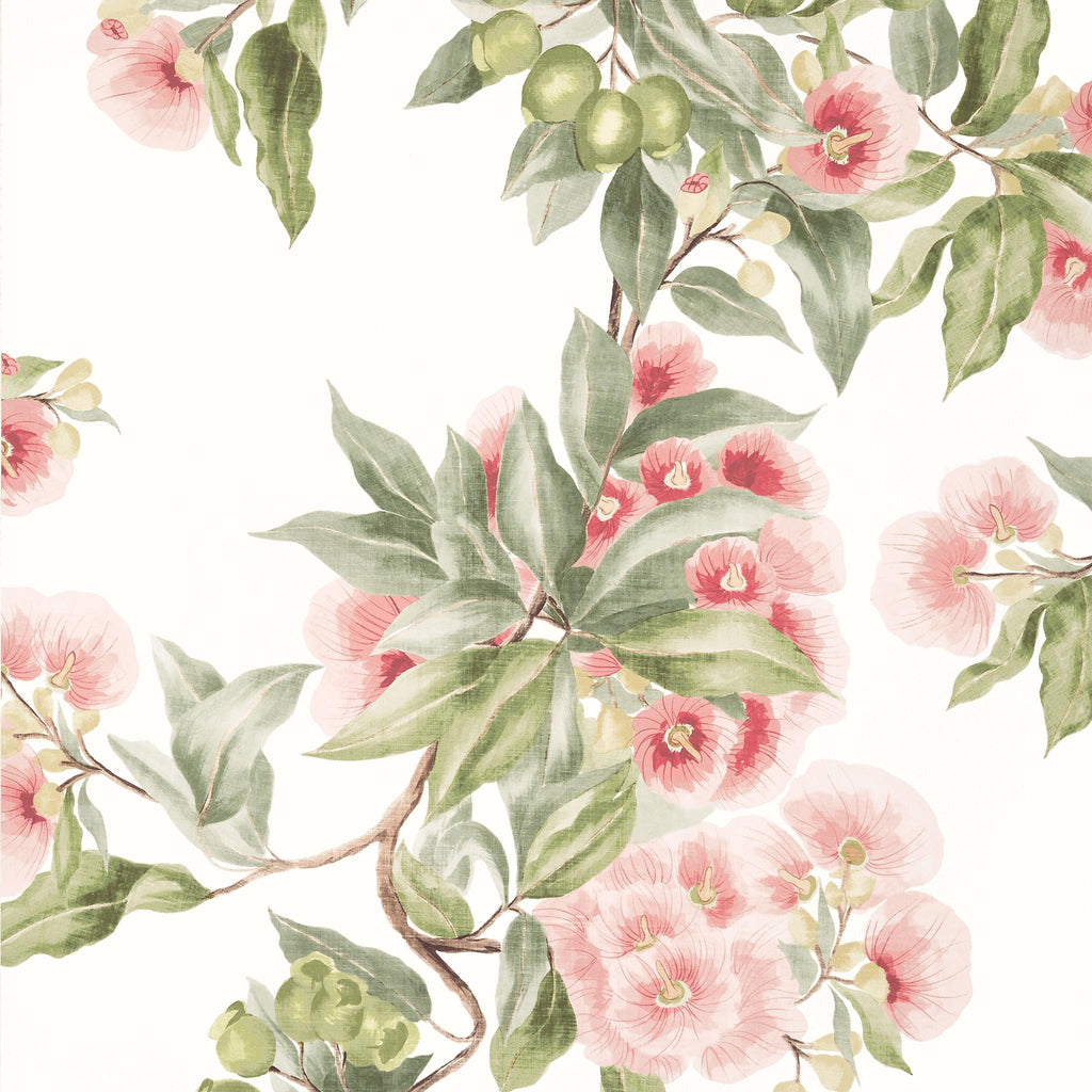 Thibaut CAMELLIA GARDEN Coral Wallpaper