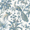 Anna French Peacock Toile Blue And Green Wallpaper