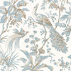 Anna French Peacock Toile Soft Blue And Beige Wallpaper