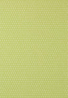 Anna French Mali Dot Green Wallpaper