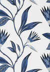 Anna French Cleo Vine Blue And White Wallpaper