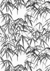 Anna French Kyoto Leaves Black Wallpaper