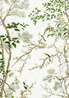 Thibaut Katsura Green And White Fabric