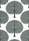 Thibaut Mulberry Tree Black And White Wallpaper