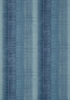 Thibaut Painted Desert Navy Wallpaper