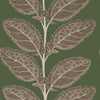 Thibaut Lacinato Wild Sage Wallpaper