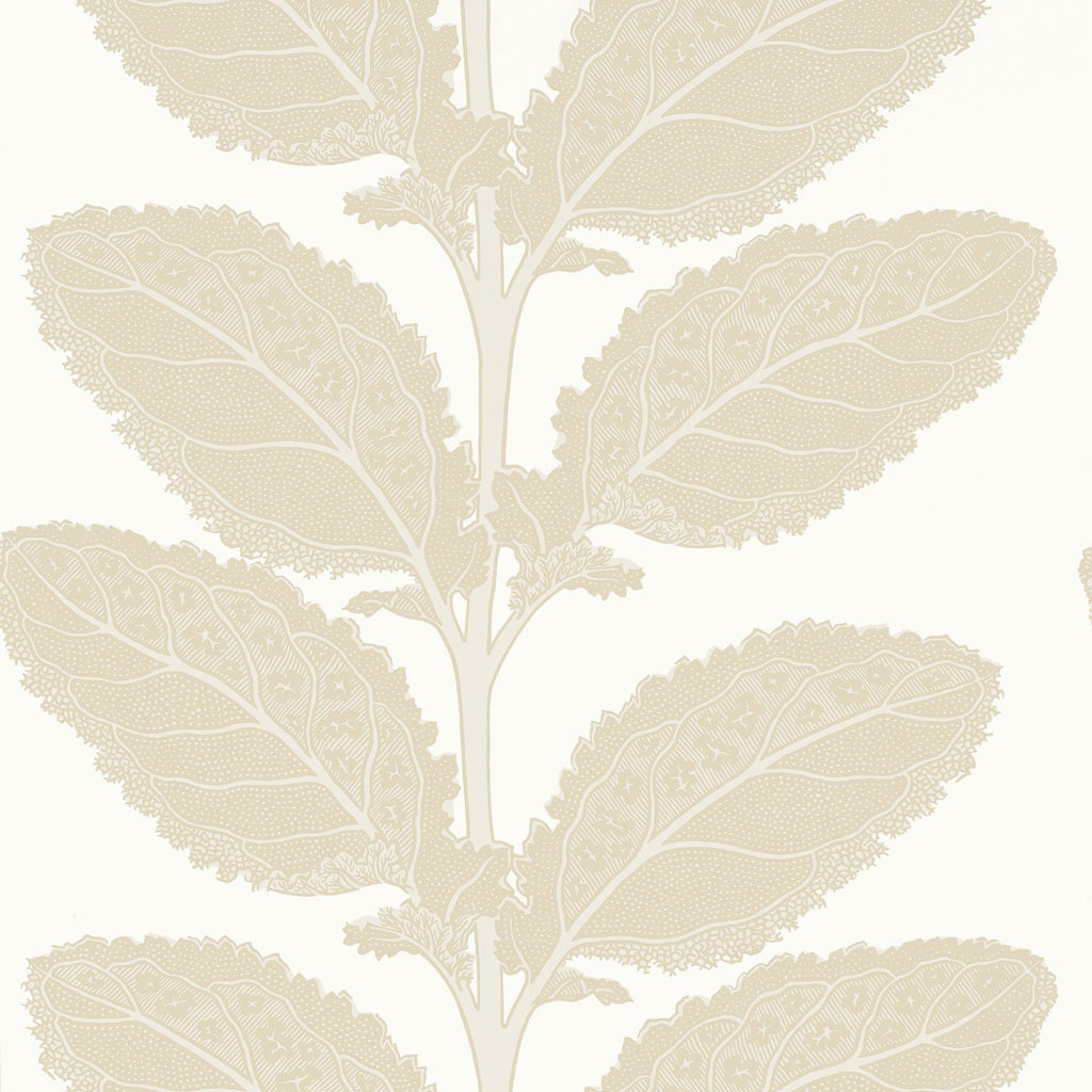 Thibaut LACINATO Birch Wallpaper