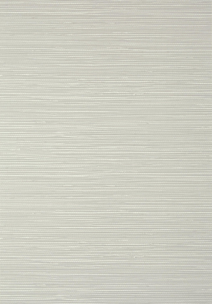 Thibaut ST. THOMAS Grey Wallpaper