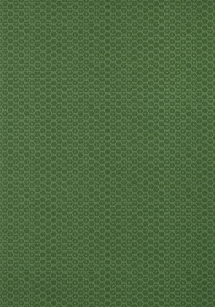 Thibaut AKARI Emerald Wallpaper