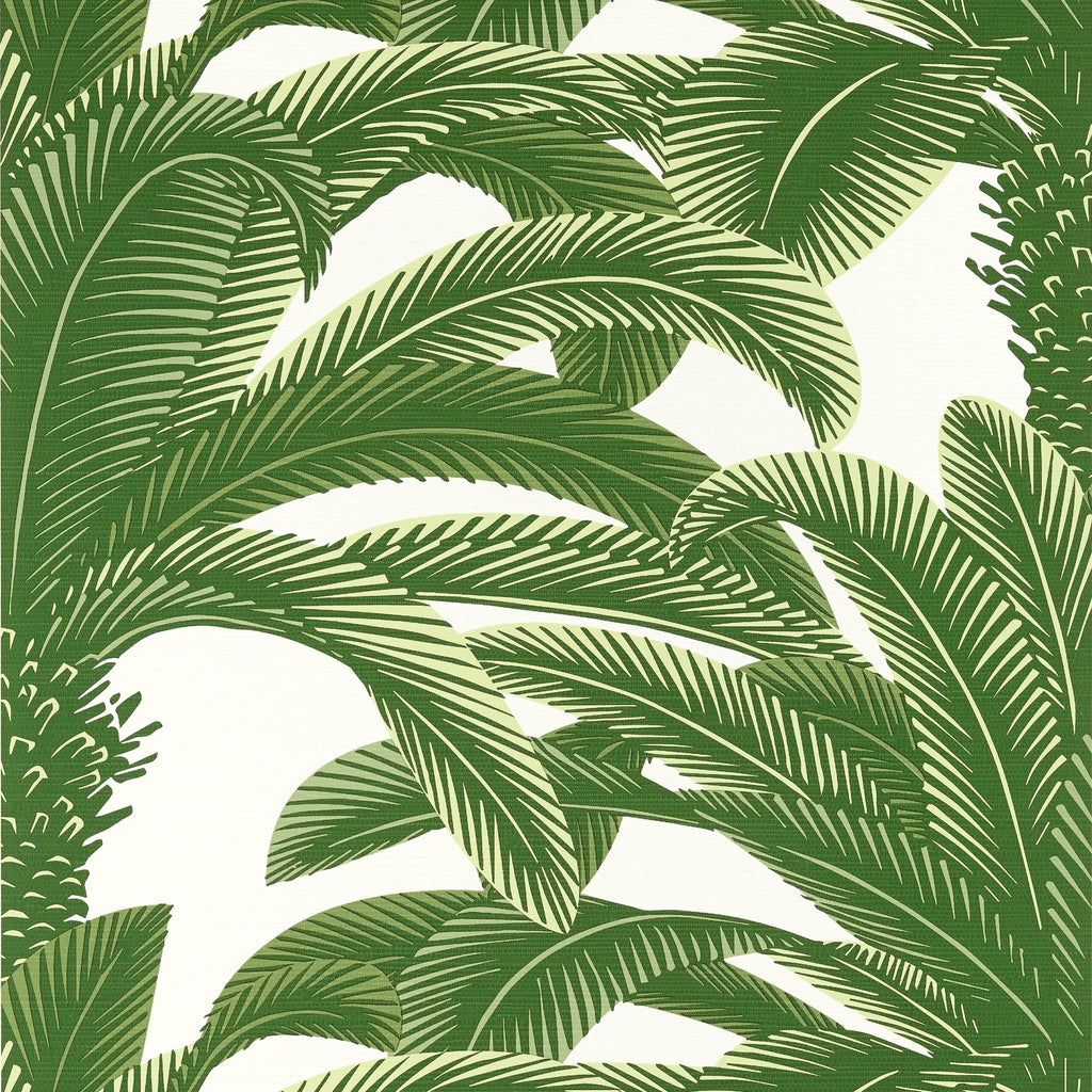 Thibaut QUEEN PALM Green Wallpaper