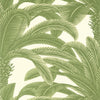 Thibaut Queen Palm Sage Wallpaper