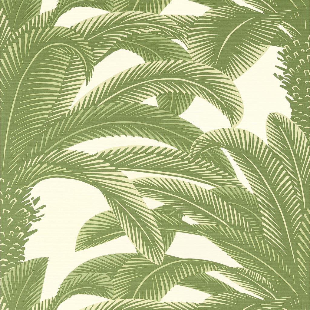 Thibaut QUEEN PALM Sage Wallpaper