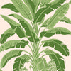 Thibaut Banana Tree Pink And Green Wallpaper