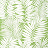 Thibaut Siesta Key Green Wallpaper