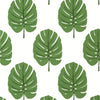 Thibaut Monstera Green Wallpaper