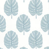 Thibaut Monstera Spa Blue Wallpaper