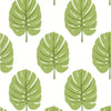 Thibaut Monstera Apple Green Wallpaper