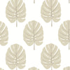 Thibaut Monstera Beige Wallpaper