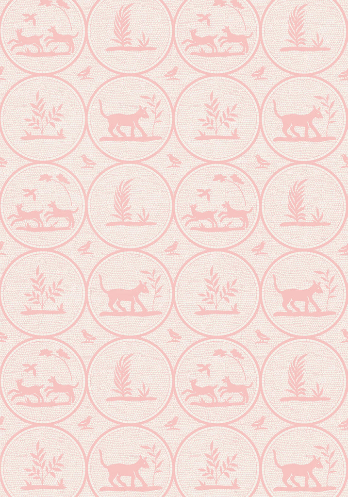 Thibaut DOOLEY Pink Wallpaper