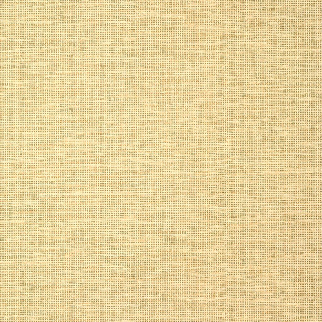 Thibaut SPIRO Straw Wallpaper