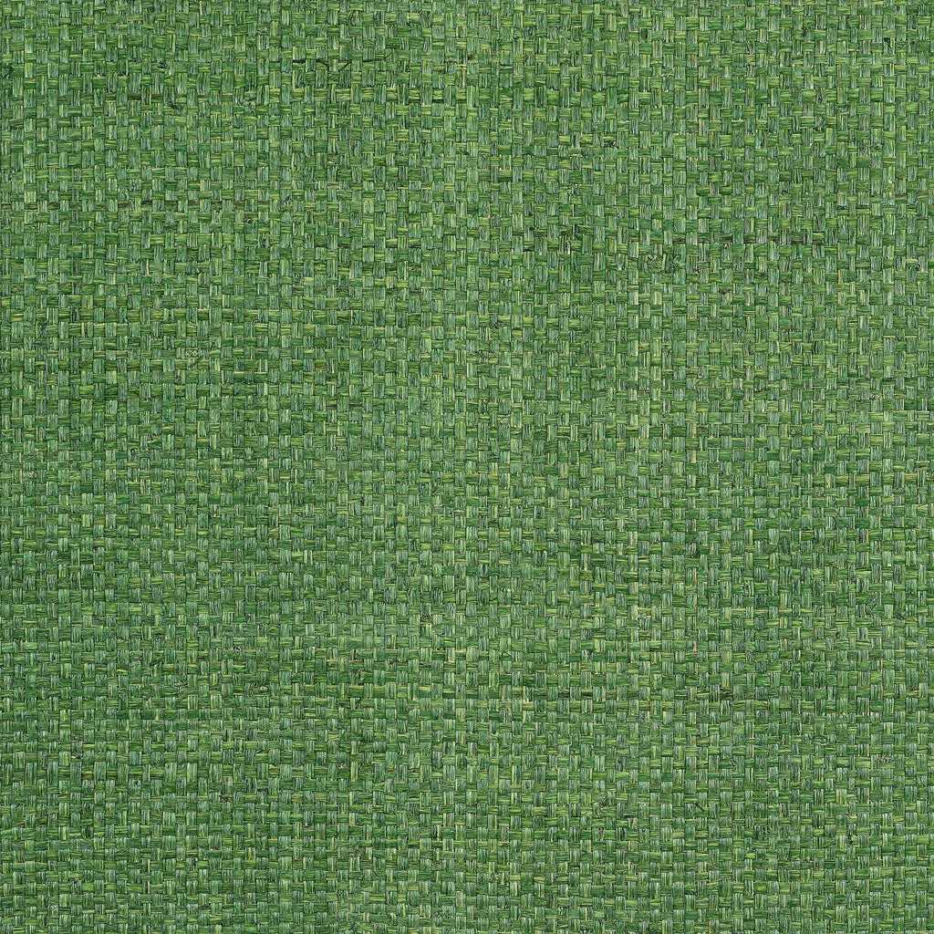 Thibaut LAUDERDALE Green Wallpaper