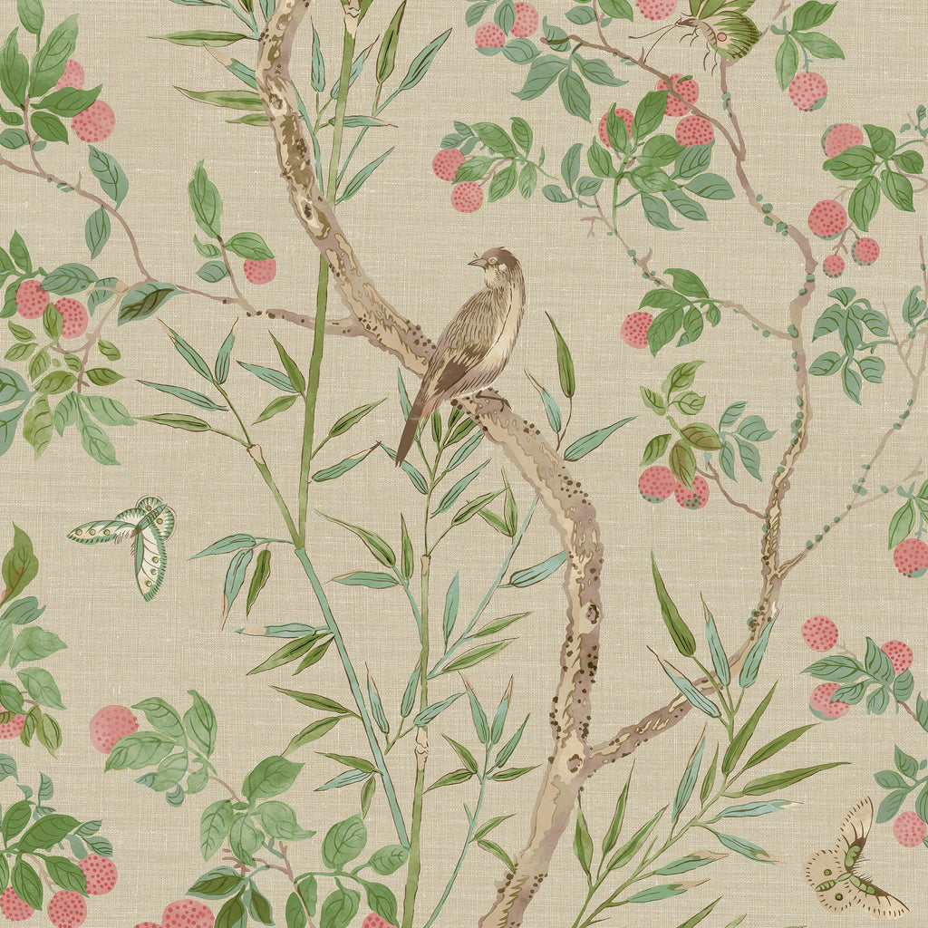 Thibaut CLAIRE Coral and Green Wallpaper