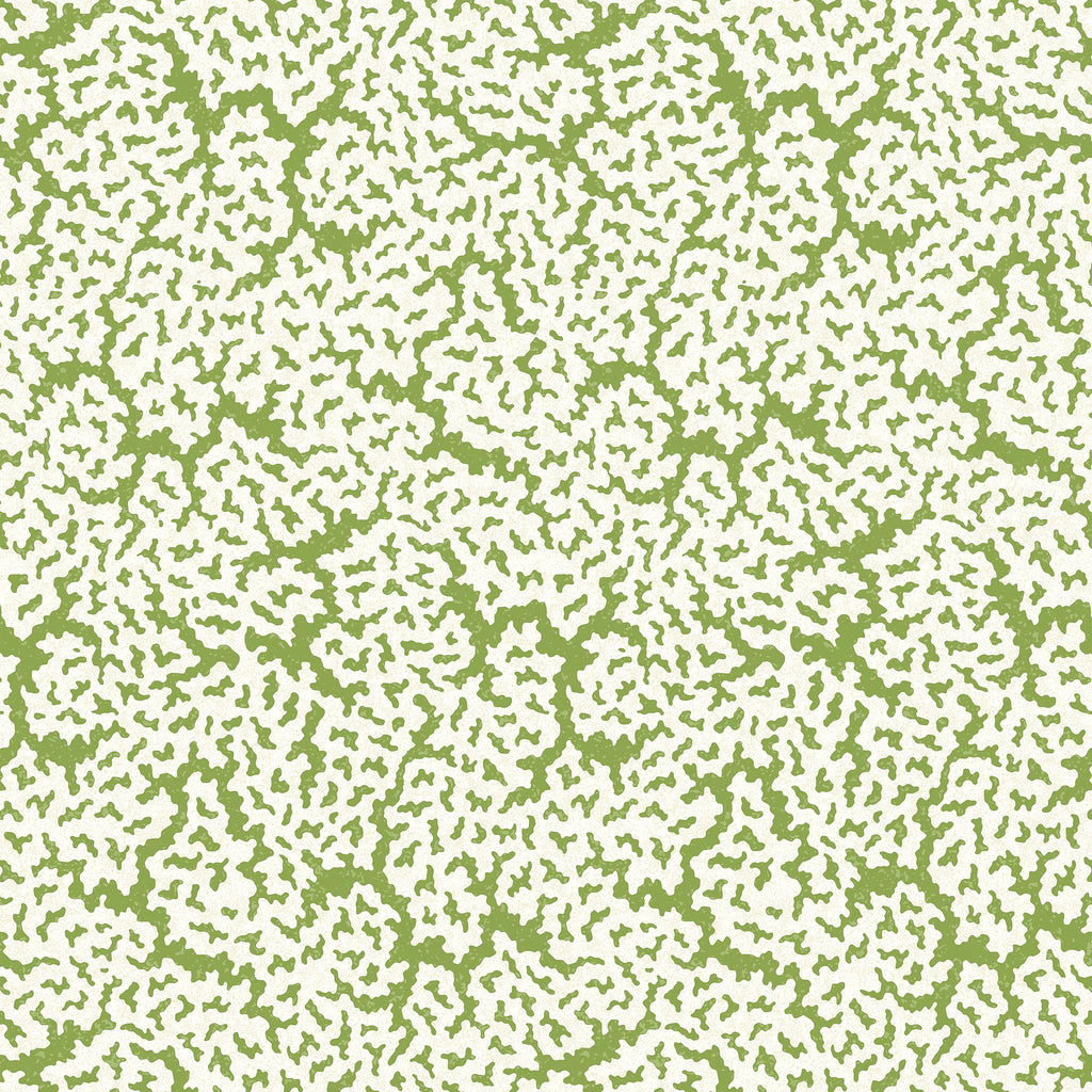 Thibaut MALDIVES Green Wallpaper