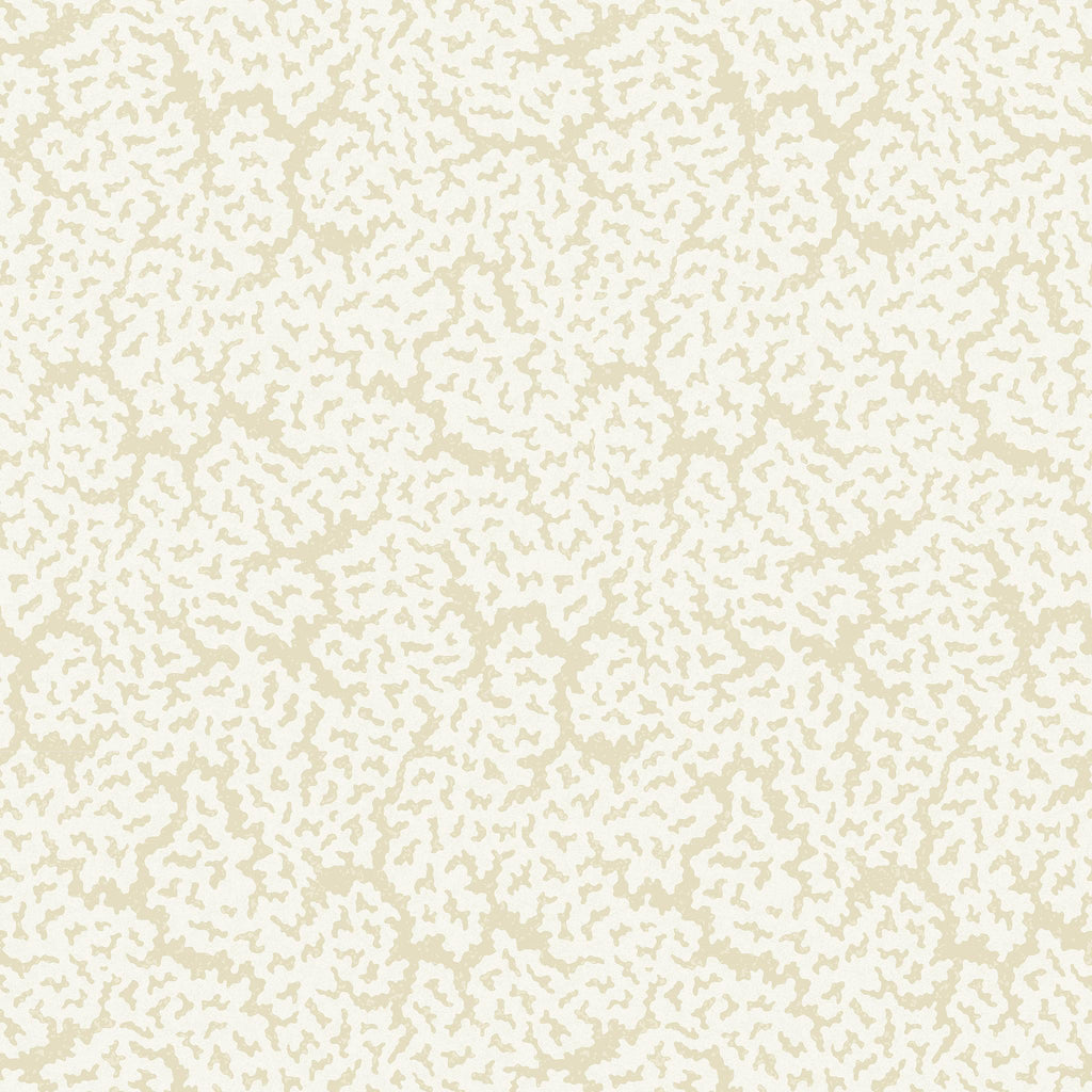 Thibaut MALDIVES Cream Wallpaper