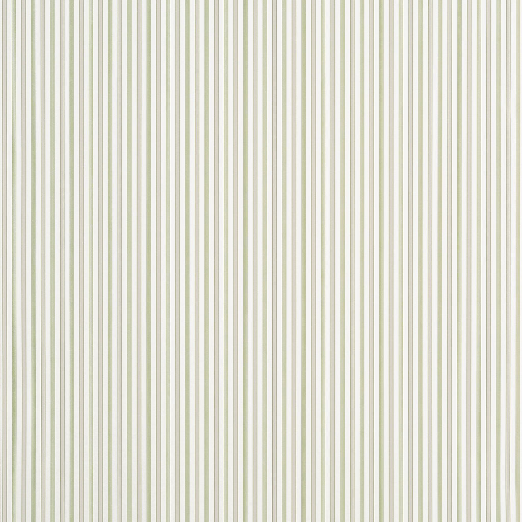 Thibaut CONNER STRIPE Green and Beige Wallpaper