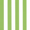 Thibaut Cabana Stripe Kiwi Fabric