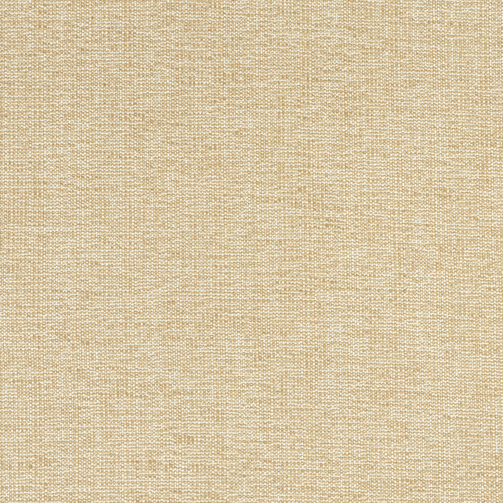 Thibaut SACCHI Caramel Fabric