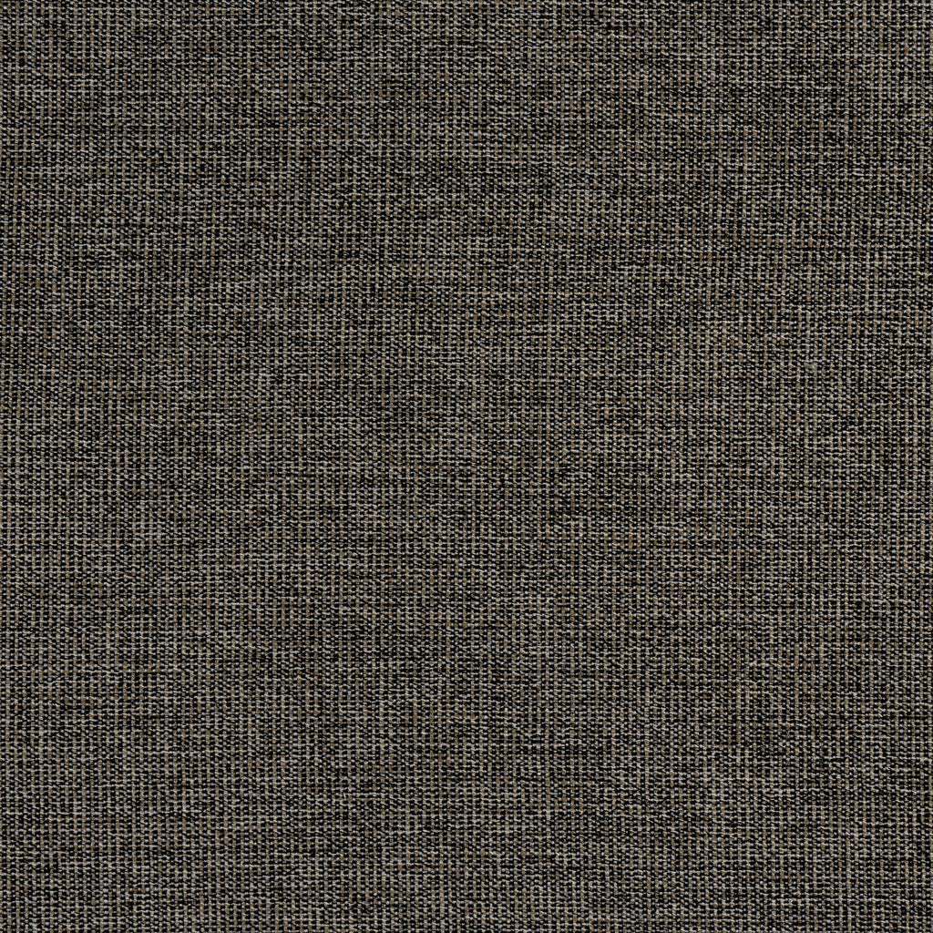 Thibaut SACCHI Ebony Fabric