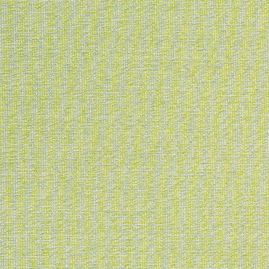 Thibaut SACCHI Leaf Fabric