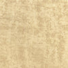 Thibaut Celeste Velvet Camel Fabric